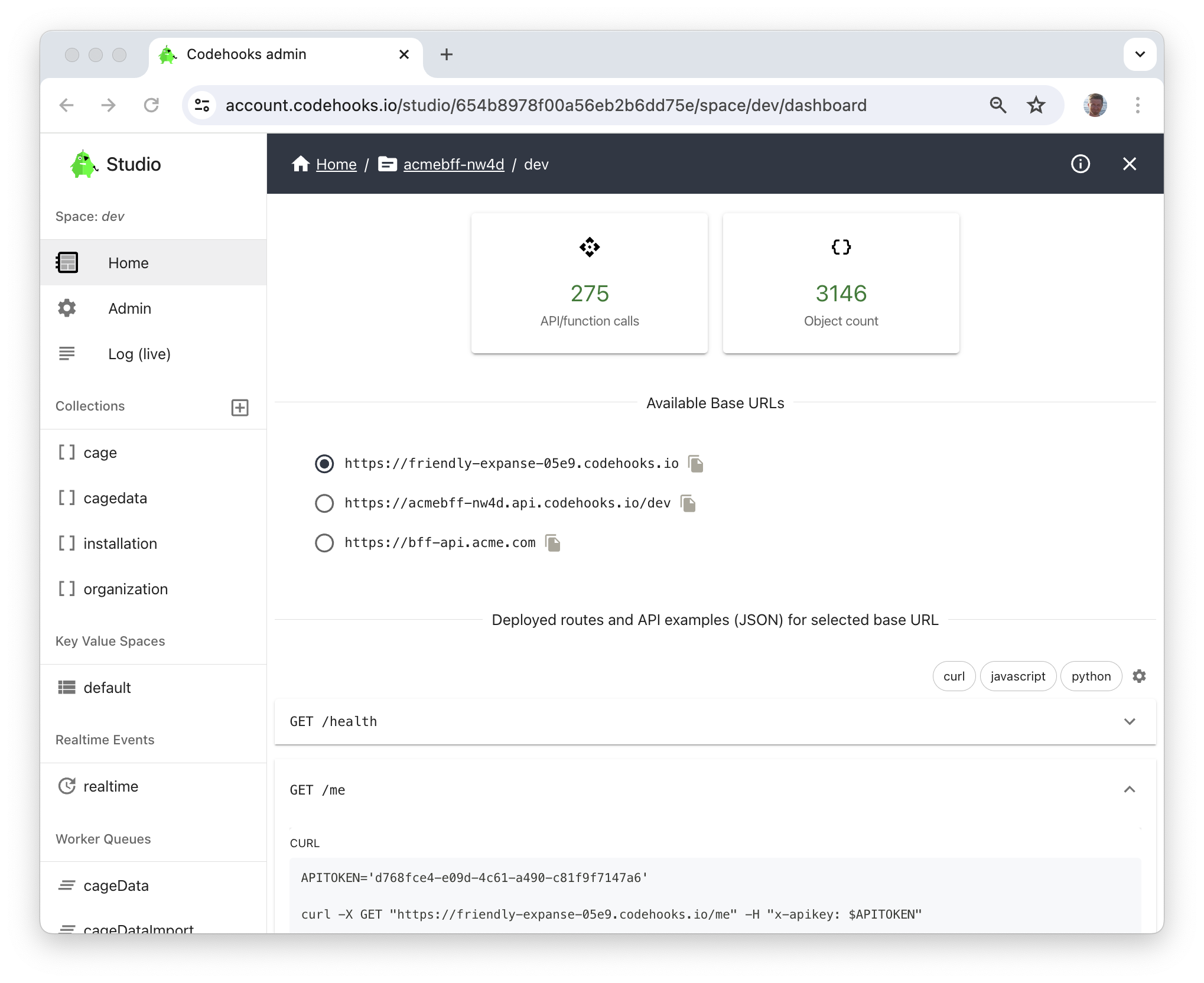 The Dashboard with API endpoints and code examples